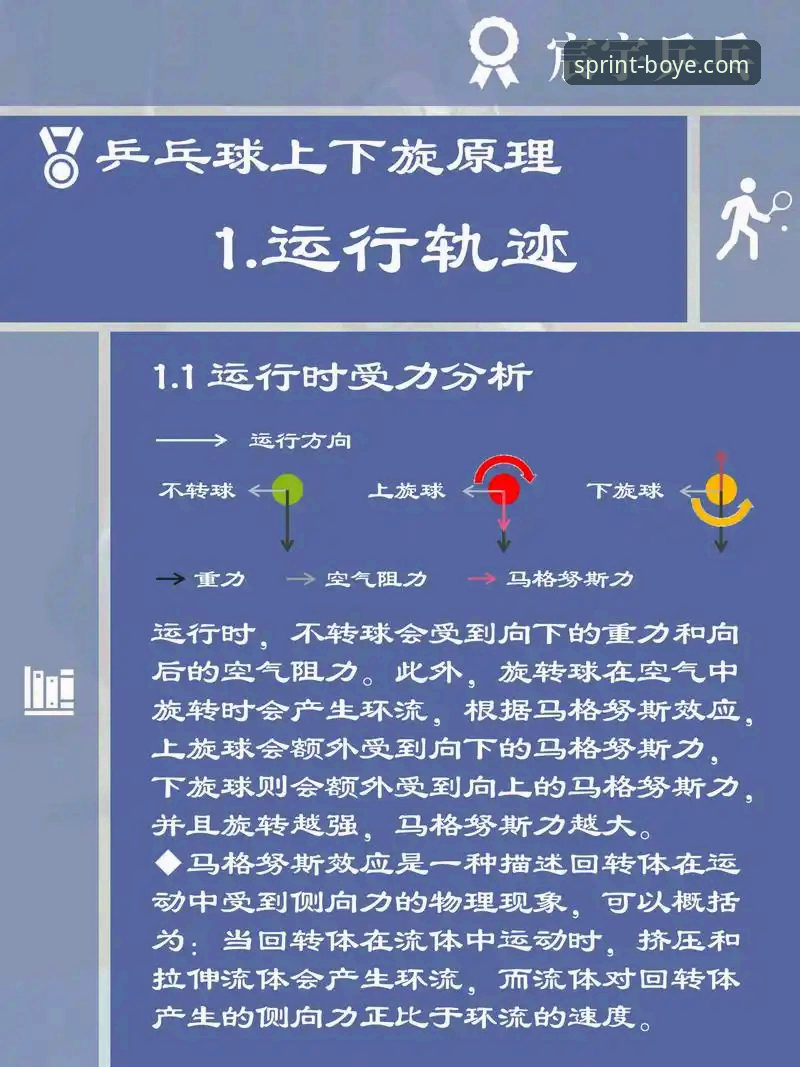 如何通过专业体育平台深度解析一场新生代乒乓对决？